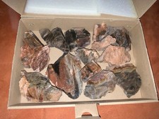 1 Box versteinertes Holz 14