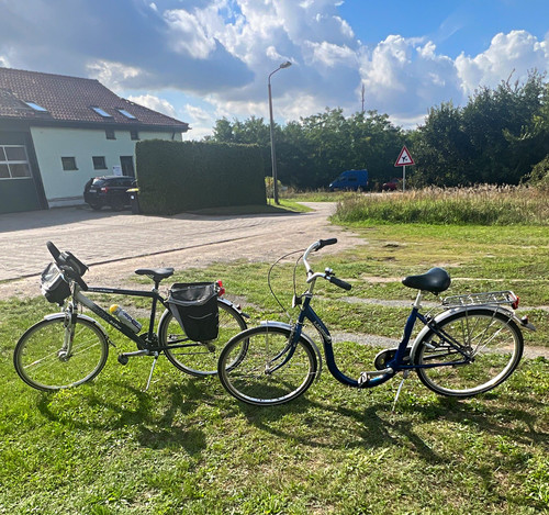 Winora city bike damen - bike,