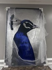 Sunpan the peacock - sunpan, x