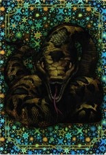 Harry Potter Evolution Panini