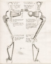 Reitschule riding school Pferd