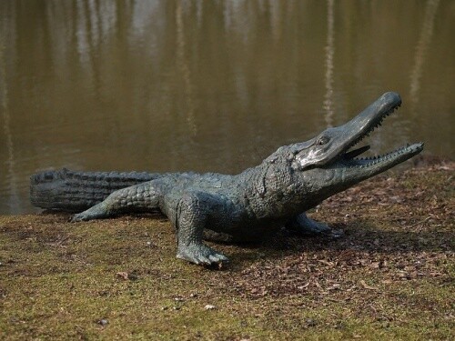 Bronzefigur krokodil - bronzefigur,
