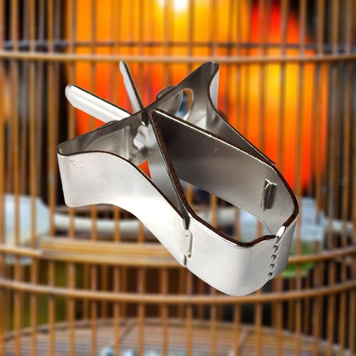 Vogelkäfig obst gemüse - vogelkäfig, clip