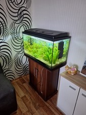 aquarium kombination