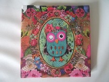 Bild Eule 15x15 cm auf