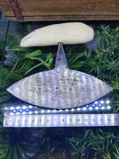 Messer, Sammlung, Ulu,Inuit 