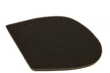 Luftfilter Filtereinsatz RMS