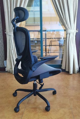 Premium ergonomic office - premium,