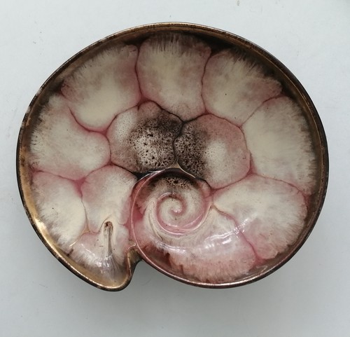 Nautilus keramik schale - keramik, •