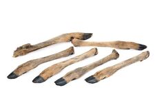 Rehbein mit Fell 6 Stk