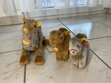 Steiff Kamel Cosy Friends 110412, Dromedar Trampy 1453/15,Hocky 1453/14 Konvolut