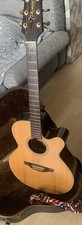 Acoustic Guitar Takamine