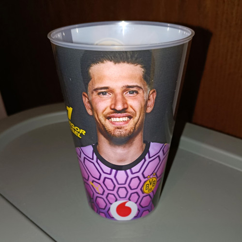 Borussia dortmund bvb - borussia,
