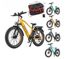 E-Bike ENGWE E26 48V 16Ah Akku