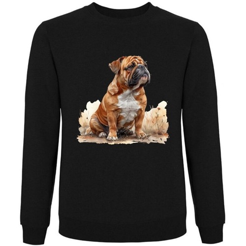 Sweatshirt schwarz englische - sweatshirt,