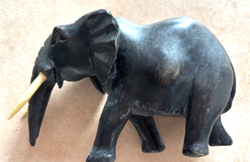 Elefant mit schneidezähnen - elefant,