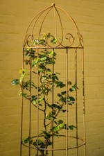 Rankgerüst H: 160cm Volleisen