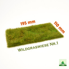 601 / Wildgraswiese Nr.1 /
