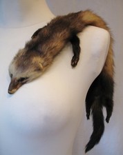 NERZ Pelz Kragen Schal Schwanz Ethno Retro Vintage Art Deco Mittelalter 