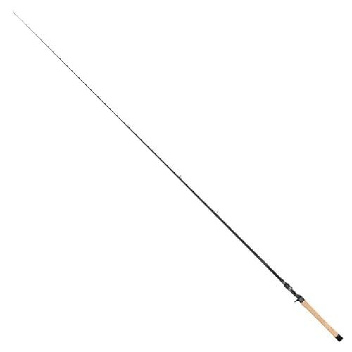 Tailwalk baitcastrute - baitcastrute, 22