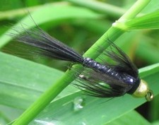Gilchrist Fliegen. 3 x Goldkopfnymphen. BLACK TWINKLE. Auswahl von Größen