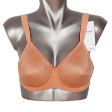 Triumph Essential Minimizer W