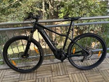 Pedelec/E-Bike Giant Fathom E+ 2 / Rahmen M / Laufrad 29