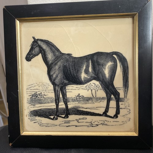 Withersdale fliese anglo arab - fliese, anglo-arab