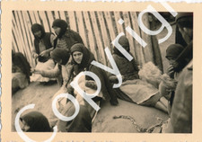 Foto  WK2 - Rumänien Zigeuner