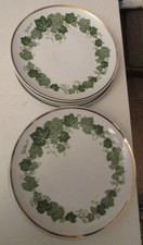 6 DDR Kahla Weinlaub