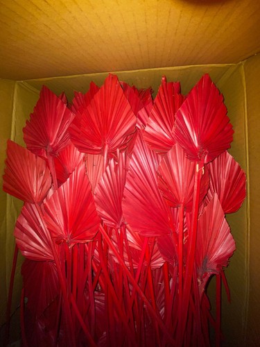 Palmspeer rot deko - palmspeer,