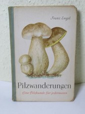 Pilzwanderungen eine Pilzkunde für jedermann, Pilze Bestimmungsbuch - DDR 1958
