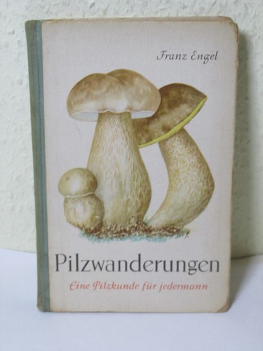 Pilzwanderungen eine pilzkunde - pilzwanderungen,