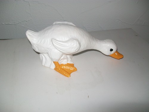 Top ente gans - zeho, ges