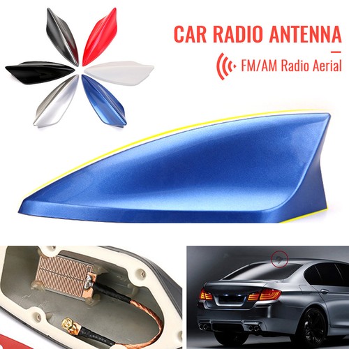 Universal car shark - universal,