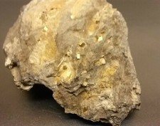 Pyrit kleine Oktaeder in Matrix Deutschland aus meiner Sammlung