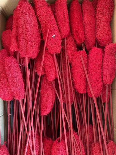 Luffa schwamm dekoration groß - luffa,