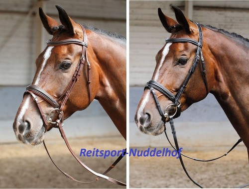 Harry horse trense - %,