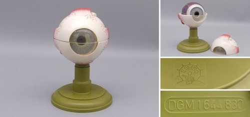 Altes somso augen modell - altes,
