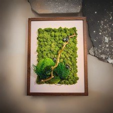 Pflanzenbild, stabilisierte