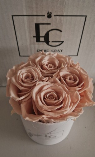 Emmie gray classic - emmie, infinity