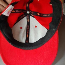 Red Bull Formel 1 F1 Racing