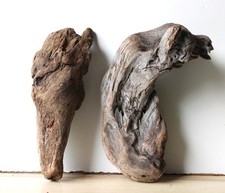 Treibholz Schwemmholz