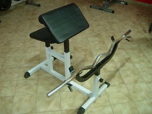 Sport fitness bodybuilding - sport/fitness/bodybuilding,