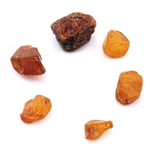 Bernsteine lose 6 Stück