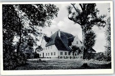 51502576 - 2251 Oldenswort