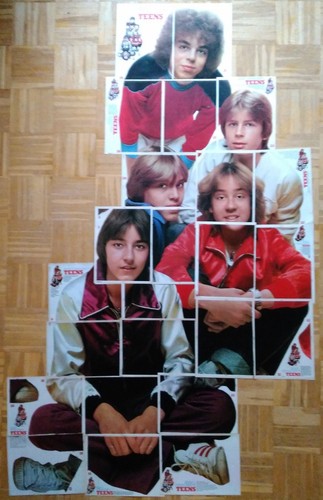 Bravo 1979 starschnitt the - bravo,