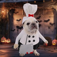Haustier Kochmütze Kostüm