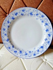 Arzberg Blaublüte Kuchen