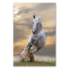 Postereck 0212 Poster Leinwand